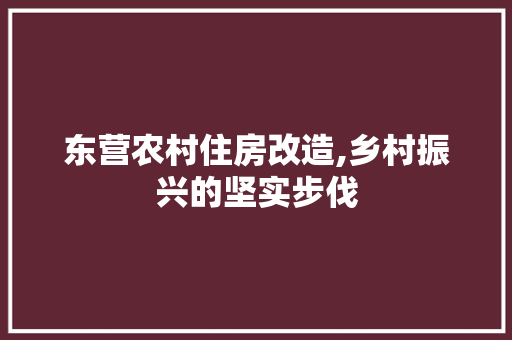东营农村住房改造,乡村振兴的坚实步伐 墙体维修