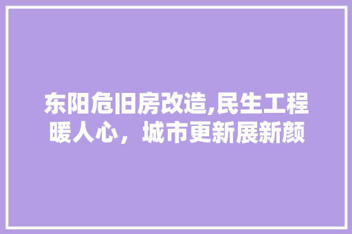 东阳危旧房改造,民生工程暖人心，城市更新展新颜