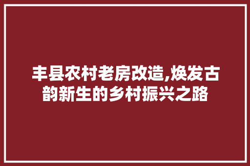 丰县农村老房改造,焕发古韵新生的乡村振兴之路