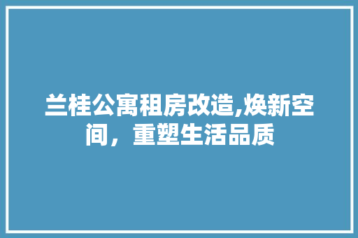 兰桂公寓租房改造,焕新空间，重塑生活品质