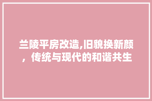 兰陵平房改造,旧貌换新颜，传统与现代的和谐共生