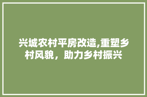 兴城农村平房改造,重塑乡村风貌，助力乡村振兴
