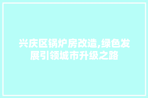 兴庆区锅炉房改造,绿色发展引领城市升级之路