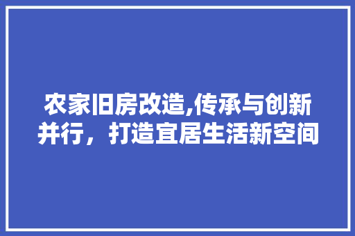 农家旧房改造,传承与创新并行，打造宜居生活新空间