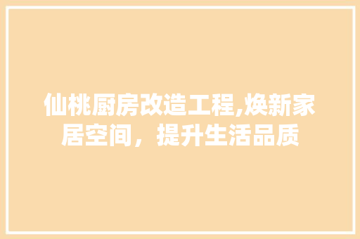 仙桃厨房改造工程,焕新家居空间，提升生活品质 厨房维修