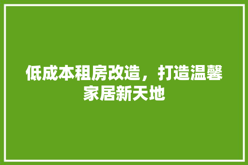 低成本租房改造，打造温馨家居新天地