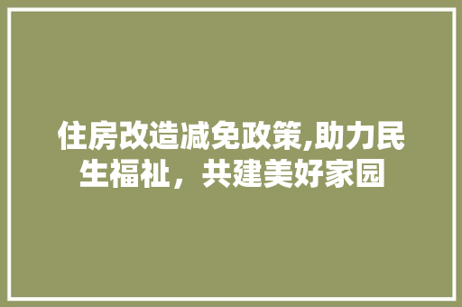 住房改造减免政策,助力民生福祉，共建美好家园
