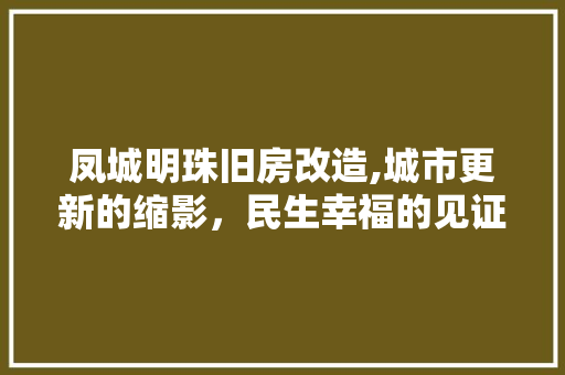 凤城明珠旧房改造,城市更新的缩影，民生幸福的见证