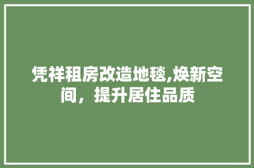 凭祥租房改造地毯,焕新空间，提升居住品质