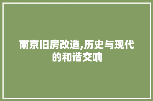 南京旧房改造,历史与现代的和谐交响