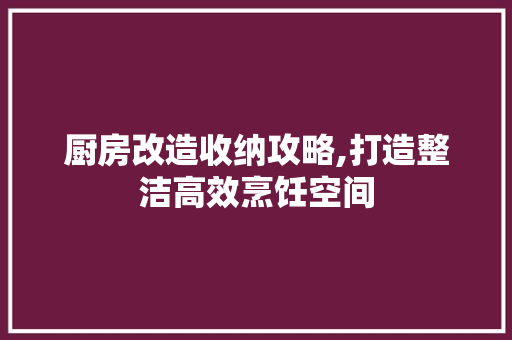 厨房改造收纳攻略,打造整洁高效烹饪空间 家电维修