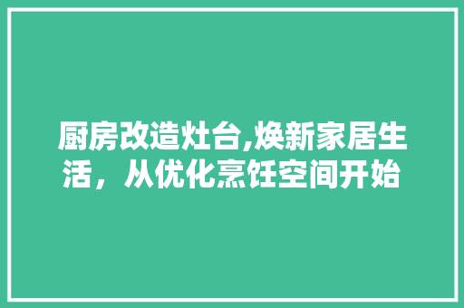 厨房改造灶台,焕新家居生活，从优化烹饪空间开始