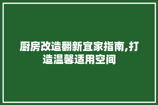厨房改造翻新宜家指南,打造温馨适用空间