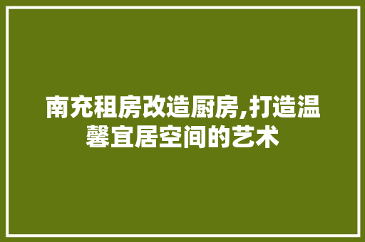 南充租房改造厨房,打造温馨宜居空间的艺术 家电维修