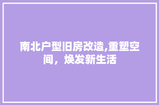 南北户型旧房改造,重塑空间，焕发新生活