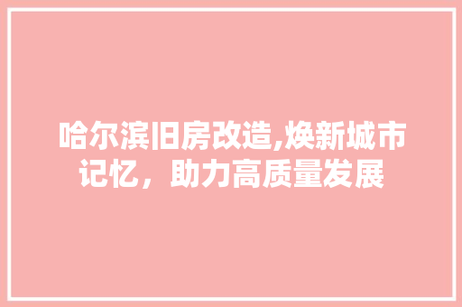 哈尔滨旧房改造,焕新城市记忆，助力高质量发展 墙体维修