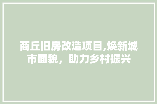 商丘旧房改造项目,焕新城市面貌，助力乡村振兴