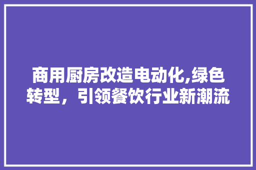 商用厨房改造电动化,绿色转型，引领餐饮行业新潮流