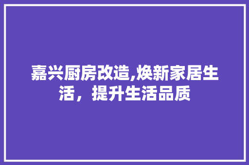 嘉兴厨房改造,焕新家居生活，提升生活品质