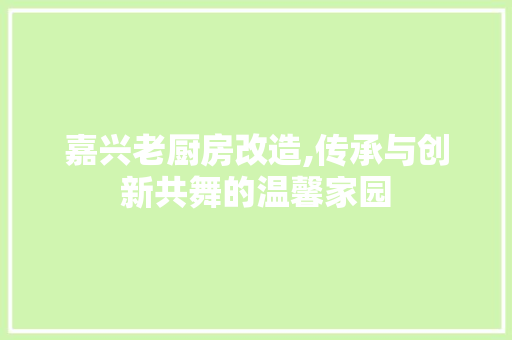 嘉兴老厨房改造,传承与创新共舞的温馨家园