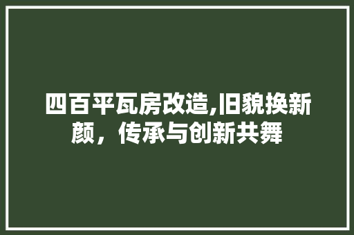 四百平瓦房改造,旧貌换新颜，传承与创新共舞