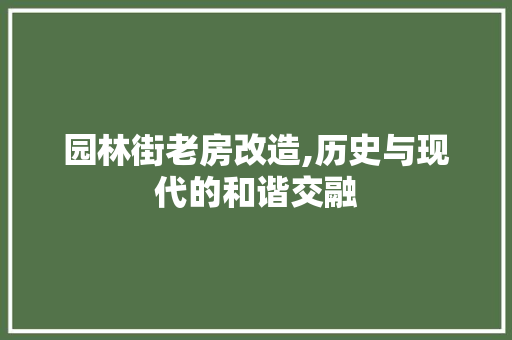 园林街老房改造,历史与现代的和谐交融