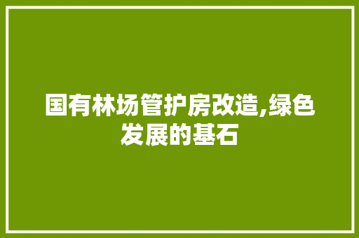 国有林场管护房改造,绿色发展的基石