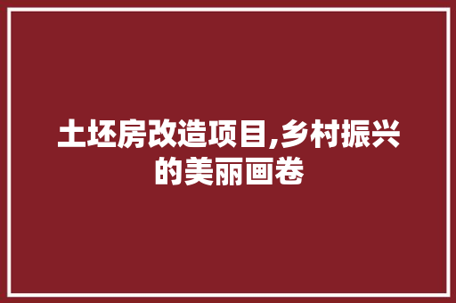 土坯房改造项目,乡村振兴的美丽画卷