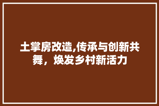 土掌房改造,传承与创新共舞，焕发乡村新活力 汽车维修