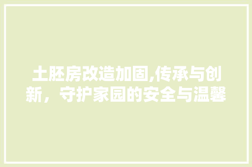 土胚房改造加固,传承与创新，守护家园的安全与温馨 家电维修
