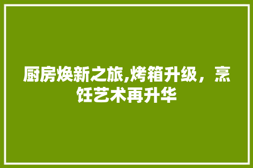 厨房焕新之旅,烤箱升级，烹饪艺术再升华