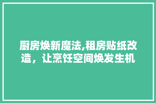 厨房焕新魔法,租房贴纸改造，让烹饪空间焕发生机