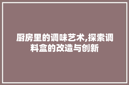厨房里的调味艺术,探索调料盒的改造与创新