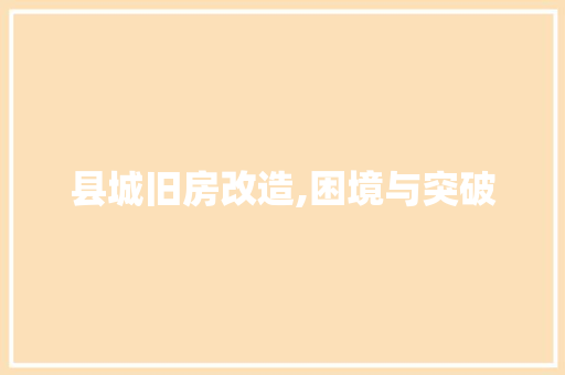 县城旧房改造,困境与突破