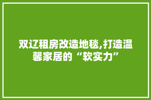 双辽租房改造地毯,打造温馨家居的“软实力”