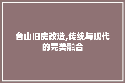 台山旧房改造,传统与现代的完美融合 家电维修