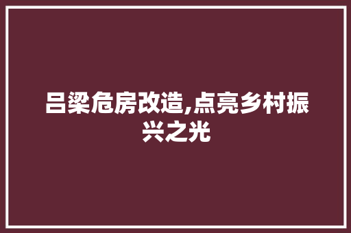 吕梁危房改造,点亮乡村振兴之光 汽车维修