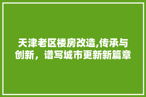 天津老区楼房改造,传承与创新，谱写城市更新新篇章 墙体维修