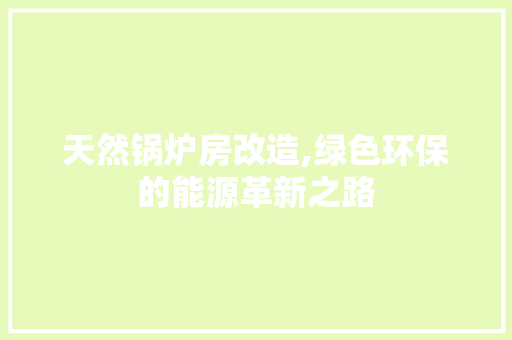 天然锅炉房改造,绿色环保的能源革新之路