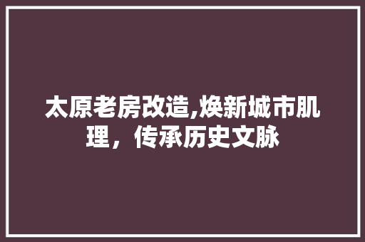 太原老房改造,焕新城市肌理，传承历史文脉 墙体维修