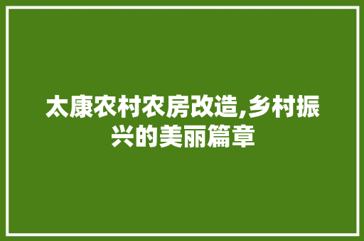 太康农村农房改造,乡村振兴的美丽篇章