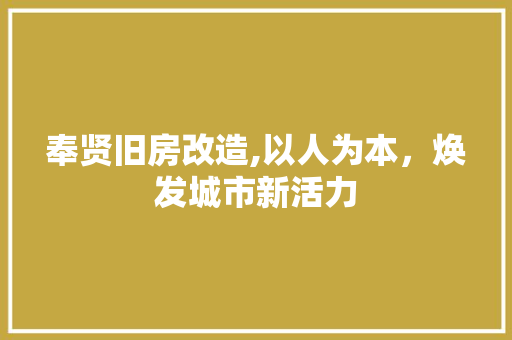 奉贤旧房改造,以人为本，焕发城市新活力 厨房维修