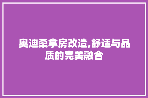 奥迪桑拿房改造,舒适与品质的完美融合 汽车维修