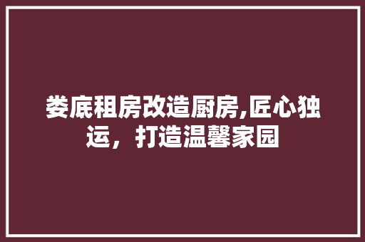 娄底租房改造厨房,匠心独运，打造温馨家园 家电维修