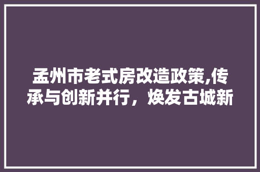 孟州市老式房改造政策,传承与创新并行，焕发古城新活力 汽车维修