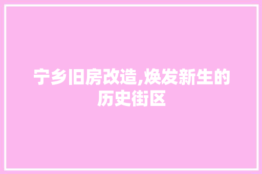宁乡旧房改造,焕发新生的历史街区