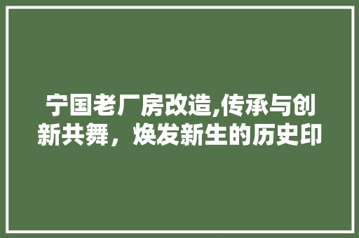宁国老厂房改造,传承与创新共舞，焕发新生的历史印记