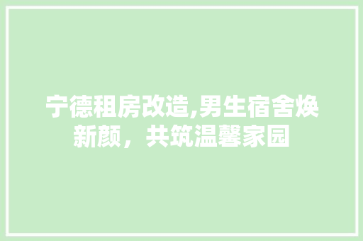 宁德租房改造,男生宿舍焕新颜，共筑温馨家园
