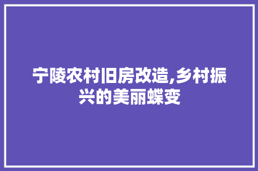 宁陵农村旧房改造,乡村振兴的美丽蝶变