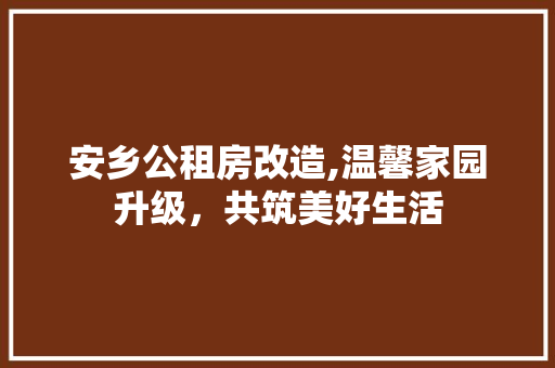 安乡公租房改造,温馨家园升级，共筑美好生活